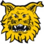 Tampereen Ilves