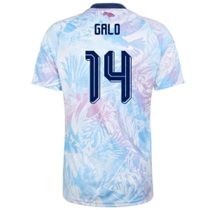 Maglia Calcio Costa Rica 2026 Galo #14 Trasferta Uomo