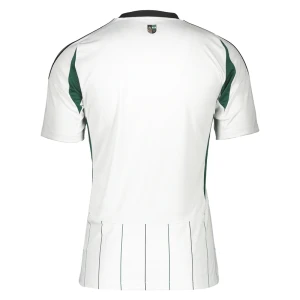 Maglia Calcio FC Schalke 04 2024-25 Trasferta Uomo