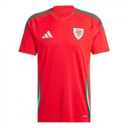 Maglia Calcio Galles 2024 Prima Uomo