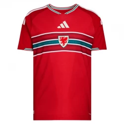 Maglia Calcio Galles 2026 Prima Uomo