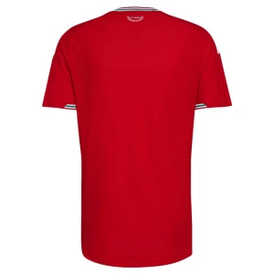 Maglia Calcio Galles 2026 Prima Uomo