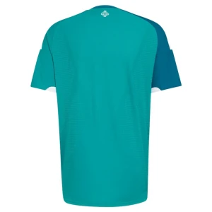 Maglia Calcio Irlanda del Nord 2026 Prima Uomo