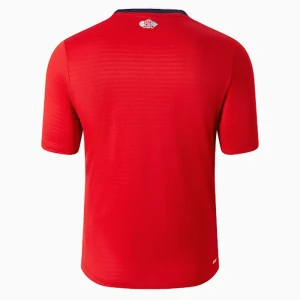 Maglia Calcio LOSC Lille 2024-25 Prima Uomo