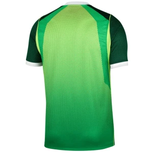 Maglia Calcio Nigeria 2026 Prima Uomo