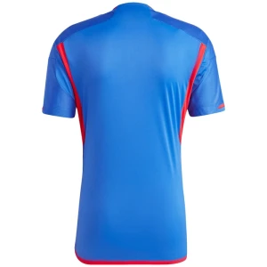 Maglia Calcio Olympique Lyonnais 2023-24 Trasferta Uomo