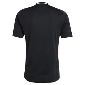 Maglia Calcio Olympique Lyonnais 2024-25 Trasferta Uomo
