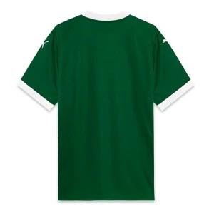 Maglia Calcio Palmeiras 2025-26 Prima Uomo