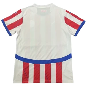 Maglia Calcio Paraguay Copa America 2024 Prima Uomo