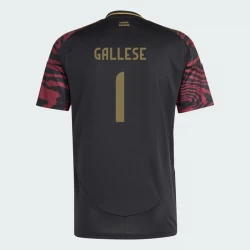 Maglia Calcio Perù Gallese #1 Copa America 2024 Trasferta Uomo