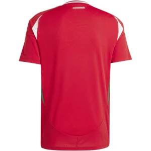 Maglia Calcio Ungheria Europei 2024 Prima Uomo