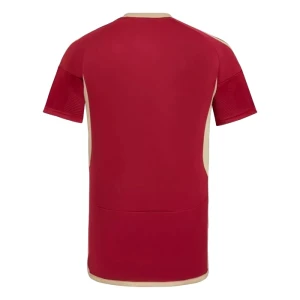Maglia Calcio Venezuela Copa America 2024 Prima Uomo