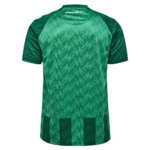 Maglia Calcio Werder Brema 2024-25 Prima Uomo