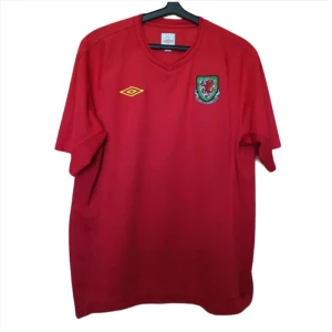 Maglia Galles 2010 Prima
