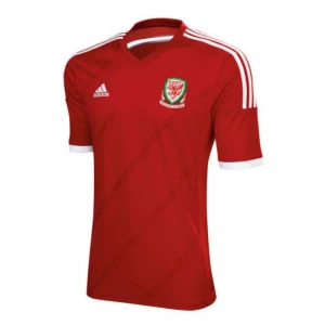 Maglia Galles 2014 Prima
