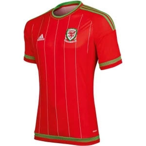 Maglia Galles 2015 Prima
