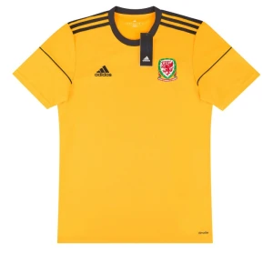 Maglia Galles 2017 Terza