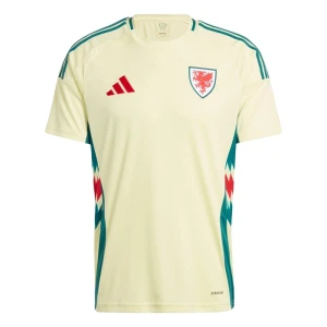 Maglia Galles 2024 Trasferta