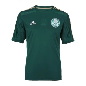 Maglia Palmeiras 2014-15 Prima