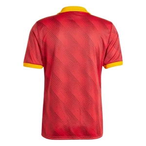 Maglie Calcio AS Roma 2024-25 Fourth Uomo