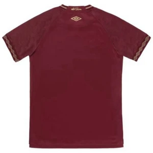 Maglie Calcio Fluminense 2025-26 Terza Uomo