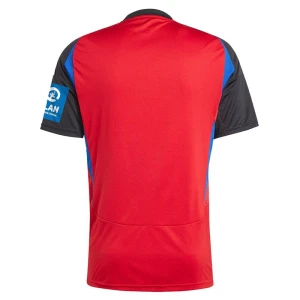 Maglie Calcio Hamburger SV 2024-25 Terza Uomo