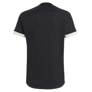 Maglie Calcio Juventus FC 2023-24 Terza Uomo