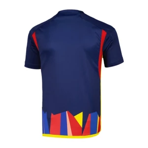 Maglie Calcio Olympique Lyonnais 2023-24 Terza Uomo