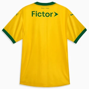 Maglie Calcio Palmeiras 2025-26 Terza Uomo