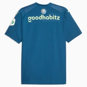 Maglie Calcio PSV Eindhoven 2023-24 Terza Uomo