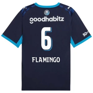 Maglie Calcio PSV Eindhoven Flamingo #6 2026-27 Terza Uomo