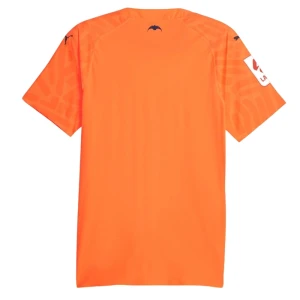Maglie Calcio Valencia CF 2023-24 Terza Uomo
