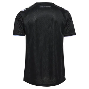 Maglie Calcio Werder Brema 2024-25 Terza Uomo