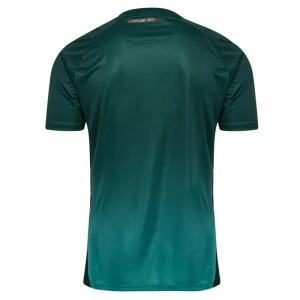 Maglie Calcio Werder Brema 2025-26 Terza Uomo